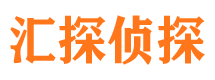 龙湖私家侦探公司